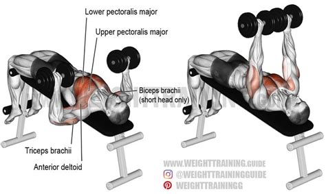Do bench press first in your workout. Decline dumbbell bench press exercise instructions and ...