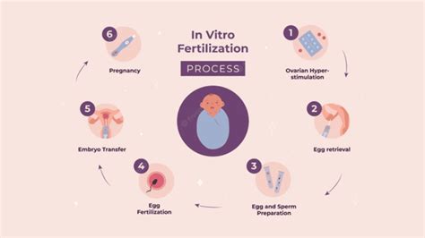 6 Things You Should Know Before Starting The Ivf Treatment Process