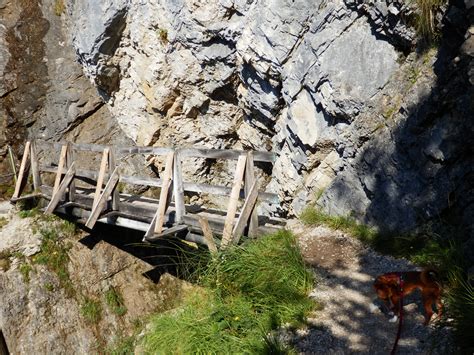 Maybe you would like to learn more about one of these? Wandern mit Hund - Achensee "Tour Gaisalm" | Alexa Travels