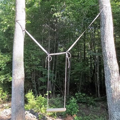 First, pull down gently to see how the branch. Swing Hanging Kit Between 2 Trees | Wood tree swing, Tree ...