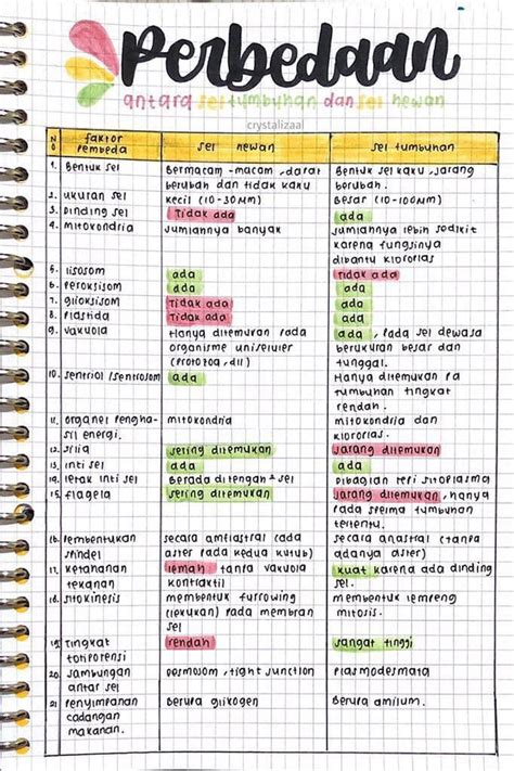 Perbedaan Antara Sel Hewan Dan Sel Tumbuhan Kelas