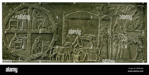 Vida de campo asiria fotografías e imágenes de alta resolución Alamy