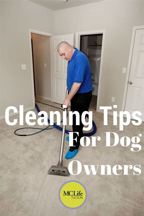 Cleaning Tips For Dog Owners Is Exactly What Dog Owners Need