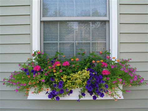 Pin By Daphne Luttrell On Window Box Ideas For Summer Fall And Winter