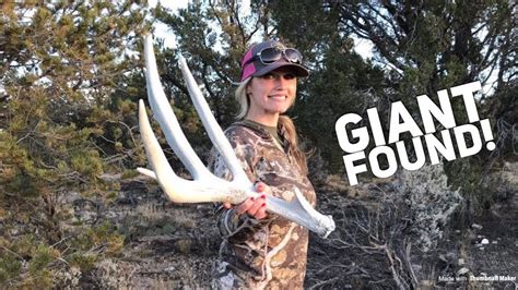 Finding A Giant Beefy Mule Deer Shed Antler Inquest 2018 Antler