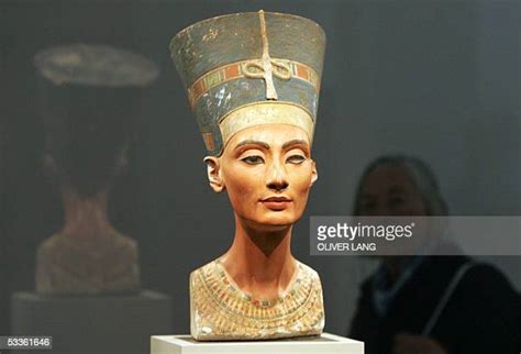 The Bust Of Queen Nefertiti Photos And Premium High Res Pictures