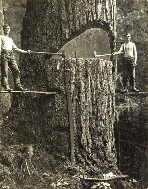37 Best Logging In The 1800s Images In 2019 Old Pictures Antique