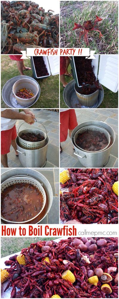Pinch the tail & wiggle the meat out. Cajun Crawfish Party | How to Boil Crawfish | Crawfish ...
