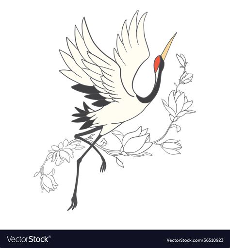 Japanese Crane Bird Isolate On A White Background Vector Image