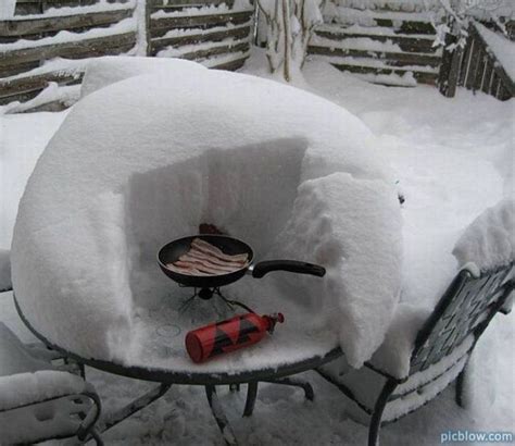 Winter Bbq Crazy Picblow Funny Pictures Humor Bbq Grilling
