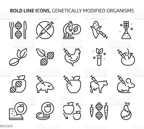 Genetically Modified Organisms Bold Line Icons Stock Illustration
