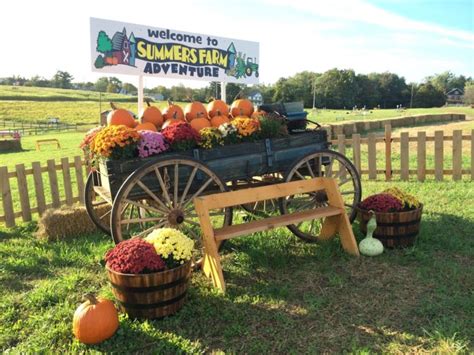 10 Unique Fall Festivals In Maryland In 2016