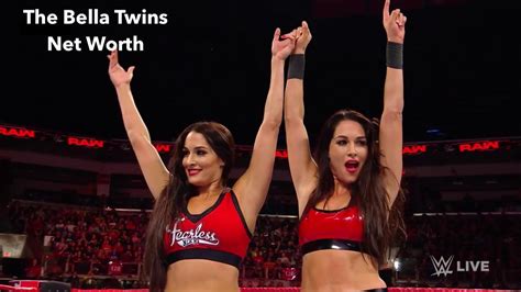 The Bella Twins Net Worth 2023 Earnings Income Career Age Republic