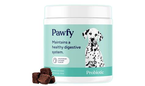 20 Best Probiotics For Dogs With Allergies
