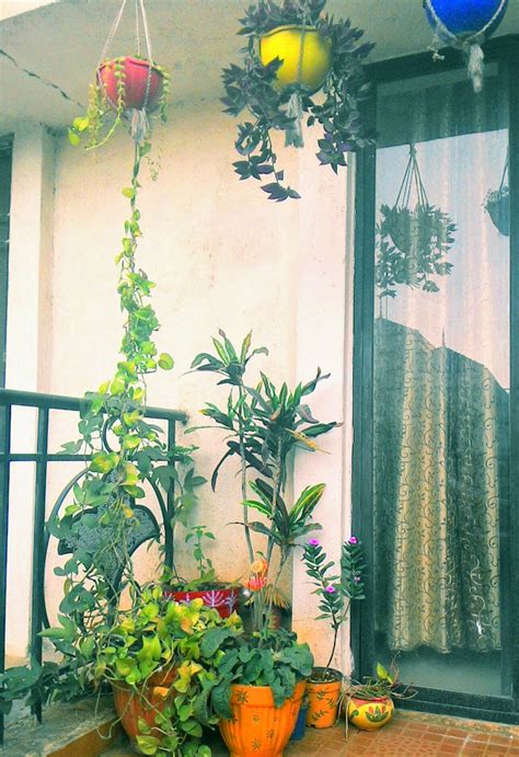 1 of 14 beautiful hanging container garden ideas. Design Decor & Disha | An Indian Design & Decor Blog ...