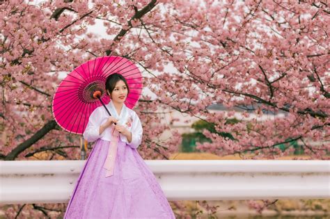 Mengenal Jenis Hanbok Pakaian Tradisional Korea Selatan Yukke Id