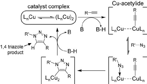 Proposed Mechanism For The Copper Catalyzed Azide Alkyne Cycloaddition