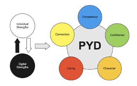 Promoting Pyd In Digital Contexts Fluent Research