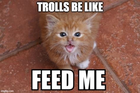 Dont Feed The Trolls Imgflip