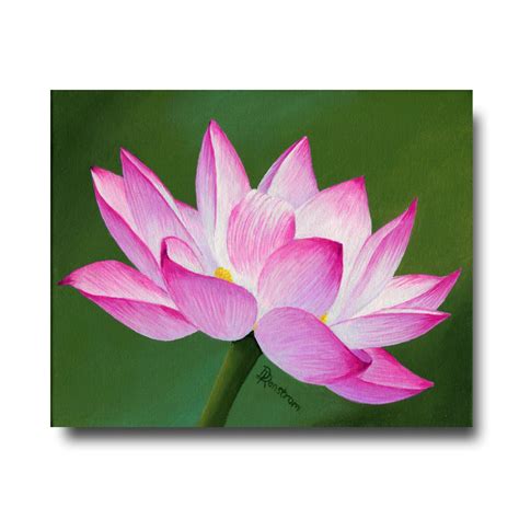Pink Lotus Acrylic Painting Diana Ranstrom Art