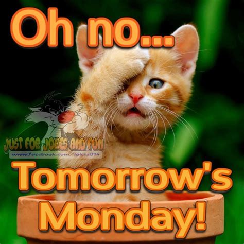 Oh No Tomorrows Monday Pictures Photos And Images For Facebook