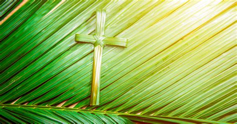 Weekly Reflection Sunday Of The Passion Palm Sunday April 10 2022
