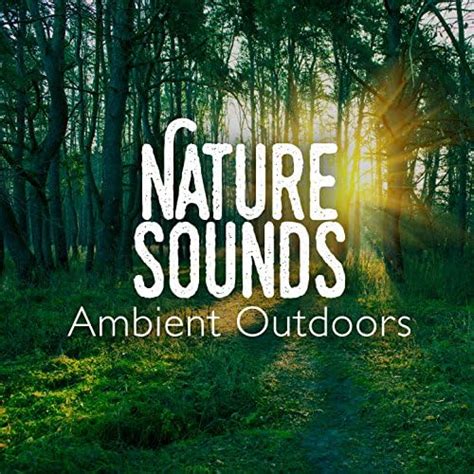 Nature Sounds Ambient Outdoors De Nature Sounds And Nature Sounds Nature
