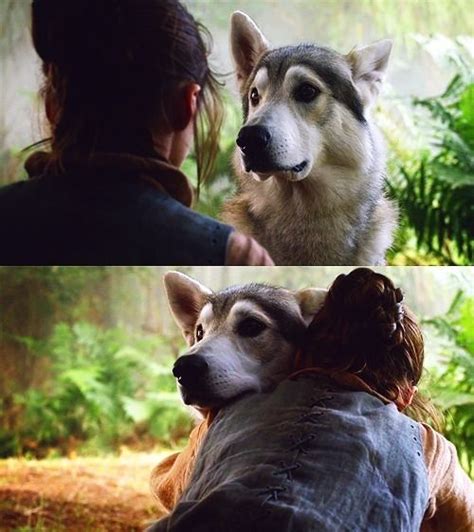 Arya Stark Saying Goodbye To Her Direwolf Nymeria Game Of Thrones