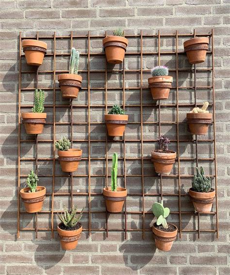 Pencil cactus is a tall succulent with long, spindly branches. Pin by MY KITCHEN CORNER CHRISTINA on terracotta and ...