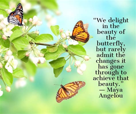 Get ready to feel inspired! Maya Angelou Quote | Maya angelou, Maya angelou quotes, Butterfly quotes