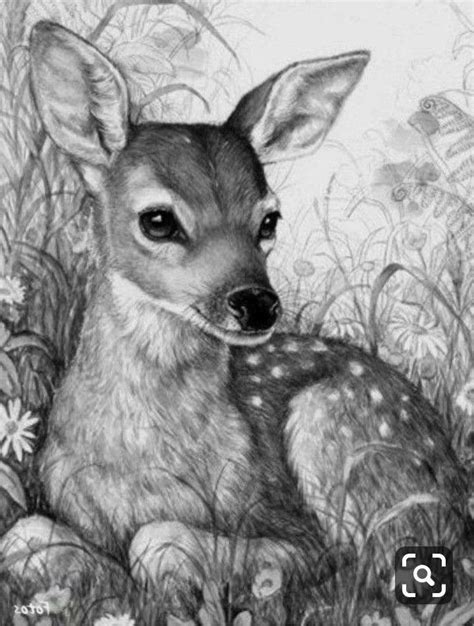 Pin By Pallabi Ghosh On Animal Sketches Pencil Drawings Of Animals