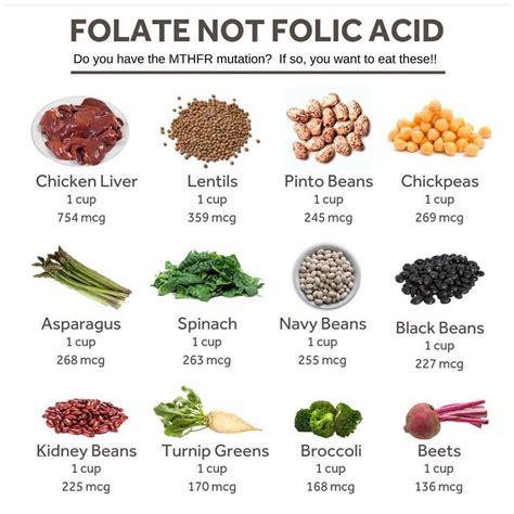 Folic Acid Foods Chart My Xxx Hot Girl