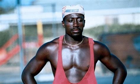 Wesley Snipes Bilder Poster And Fotos Moviepilotde