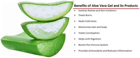 Benefits Of Aloe Vera For Skin Hair Weight Loss Health And Body Care