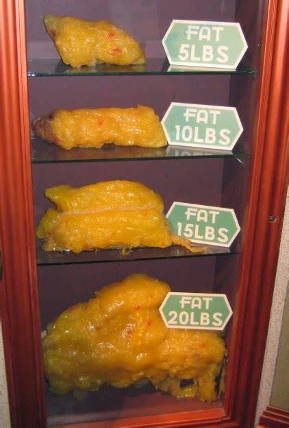 Advanced Training 50 Pounds Of Fat