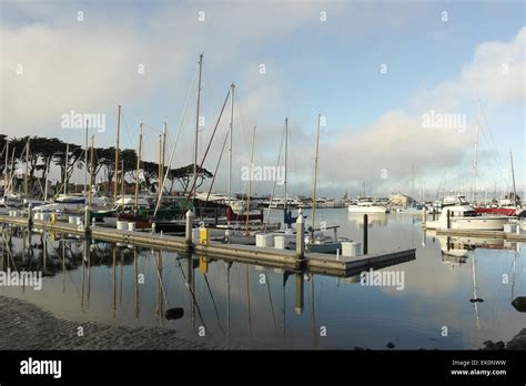 Buildings 1 Golden Gate Yacht Club Standing Rising Centre Background Hi
