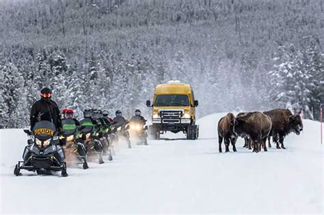 Yellowstone Snowmobile Tours 10 Best Tours Great Outdoor Geeks