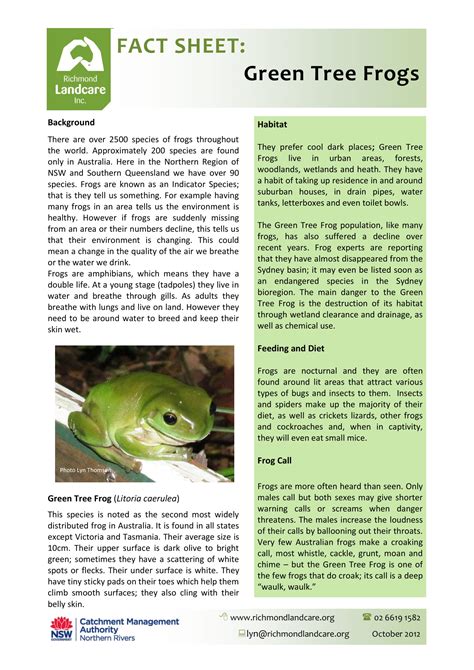 Green Tree Frog Year 7 Life And Living Classification Libguides