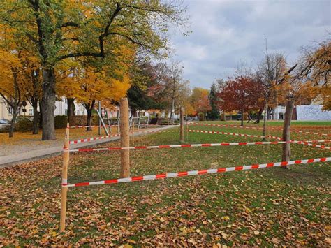 Melden sie sich jetzt bei meinplus an und nutzen sie die chance auf tolle gewinne. Slackline-Projekt erfolgreich umgesetzt