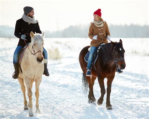 Winter Horse Riding In Bled Activities In Slovenia From