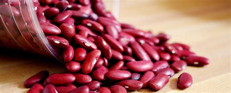 Kacang merah diketahui mengandung banyak zat besi yang merupakan sumber utama yang diperlukan untuk meningkatkan. Kuliah Umum Farmasi: Tanaman Kacang Merah dan Khasiat ...
