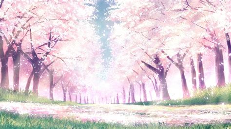 Download 1920x1080 Anime Landscape Spring Cherry Blossom Sakura