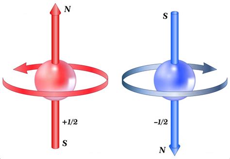 How Electron Spin Contributes To The Zeeman Effect And Predicting Star