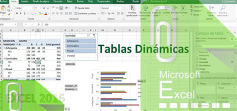 Tablas Dinámicas En Excel 2016