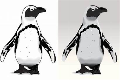 Penguin Clipart African Clip Vector Illustrations Clipground