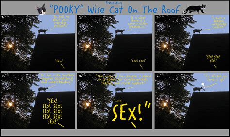Sex Kooky Pooky