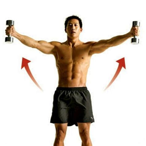 Dumbell Scaption By Tiago Faro Exercise How To Skimble