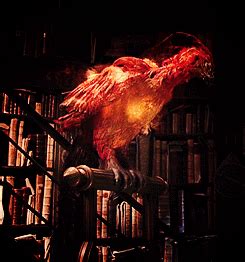 A secret tunnel beneath the sink, an exclusive, golden, anniversary harry potter minifigure, plus 2. Fanda's Book Shelf: If Only I Could Meet A Phoenix: Hotter ...