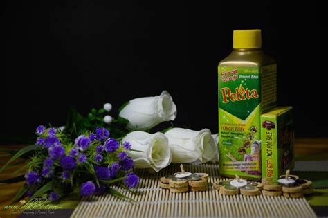 1.gunakan semburan serai wangi afy haniff. AFY Haniff Penyelesaian Masalah Serangga Di Rumah - Lovely Bee