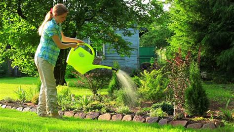 Cities treat water with chlorine/chloramine to remove bacteria, and although this gives us clean safe drinking water, this means that there are harmful chemicals in. Stock video of watering plants. | 4305512 | Shutterstock